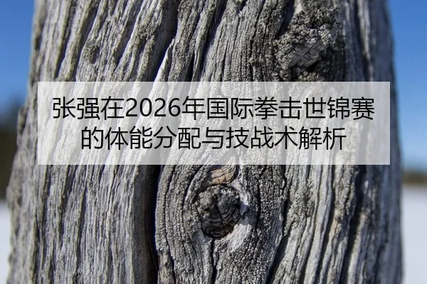 张强在2026年国际拳击世锦赛的体能分配与技战术解析