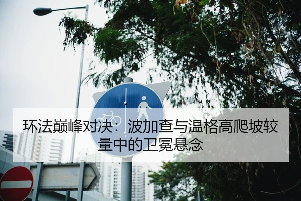 环法巅峰对决：波加查与温格高爬坡较量中的卫冕悬念